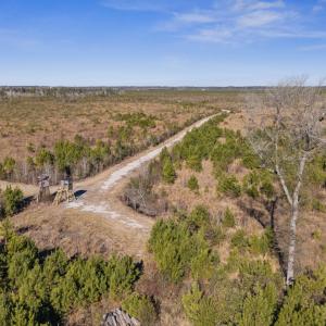 45-DJI_20260116233307_0038_D