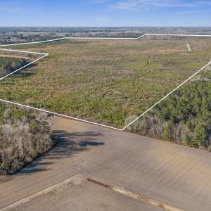 32-DJI_20260116230230_0022_D-Edit