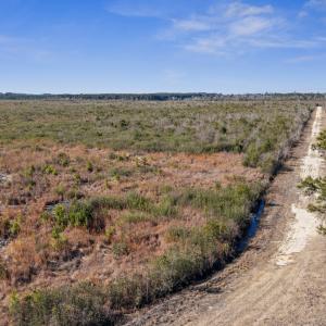 50-DJI_20260116234526_0053_D