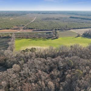 21-DJI_20260116222242_0006_D