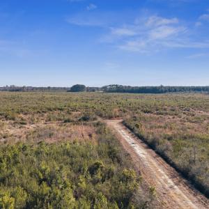 37-DJI_20260116230741_0031_D