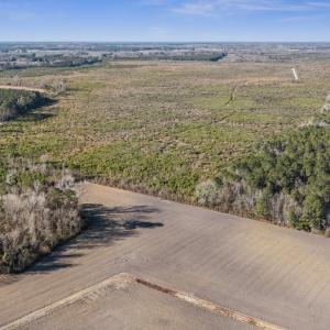 31-DJI_20260116230230_0022_D