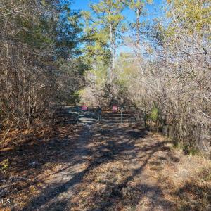 290 AC Waccamaw