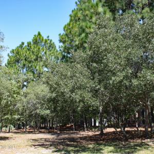 Stirling Hills Homesite on Kirkwall