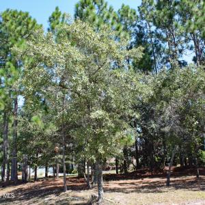 6452 Kirkwall Corner Property