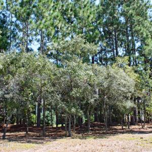 Wooded Homesite in Stirling Hills