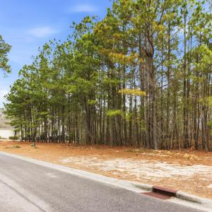 010_3772_silver_melon_road-03_611