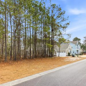 009_3772_silver_melon_road-02_242