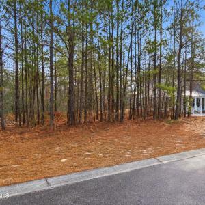 012_3772_silver_melon_road-05_619