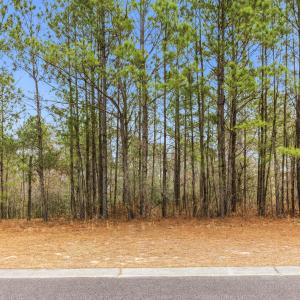 008_3772_silver_melon_road-01_618