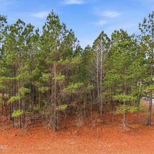 025_3772_silver_melon_road-18_413