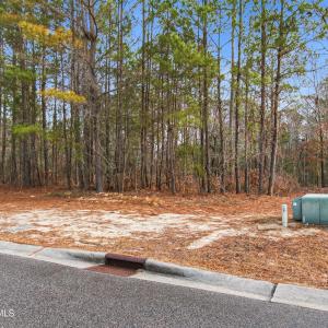 011_3772_silver_melon_road-04_223