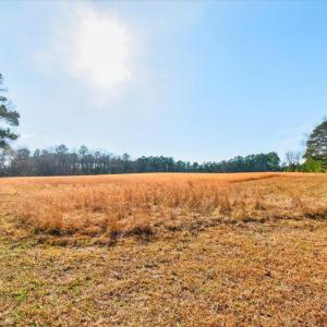 cleared acreage