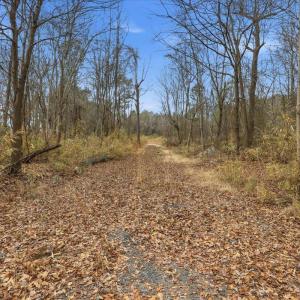 17-E Fatetteville St-17