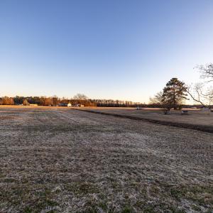 HN9A6385_pro_2550x1667