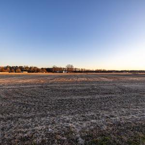 HN9A6379_pro_2550x1667