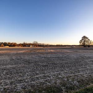 HN9A6381_pro_2550x1667