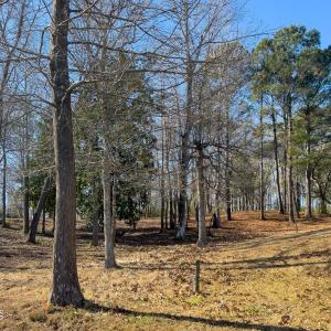 17 Redd Banks Ln MLS-46