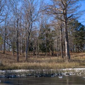 17 Redd Banks Ln MLS-29