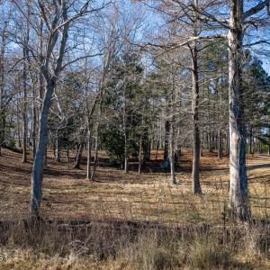 17 Redd Banks Ln MLS-30