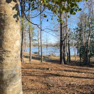 17 Redd Banks Ln MLS-43