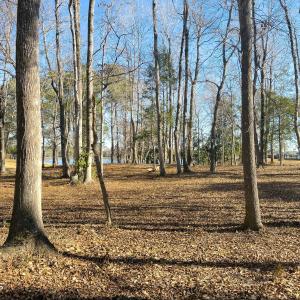 17 Redd Banks Ln MLS-13