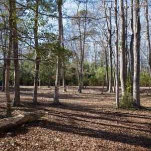 17 Redd Banks Ln MLS-20