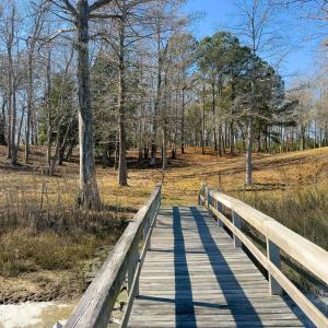 17 Redd Banks Ln MLS-56