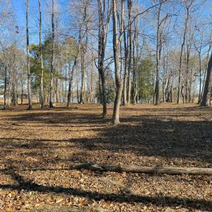 17 Redd Banks Ln MLS-39