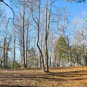 17 Redd Banks Ln MLS-44