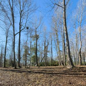 17 Redd Banks Ln MLS-23