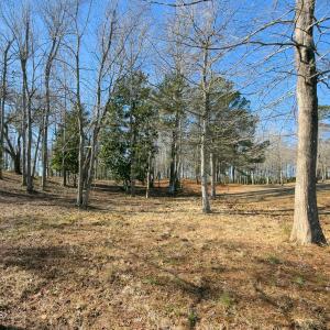 17 Redd Banks Ln MLS-47