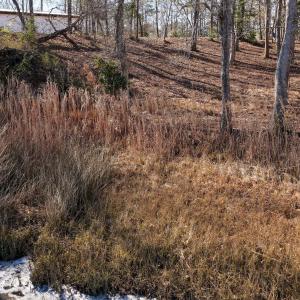 17 Redd Banks Ln MLS-31