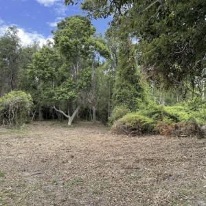 Screenshot 2026-01-28 at 11.44.26AM