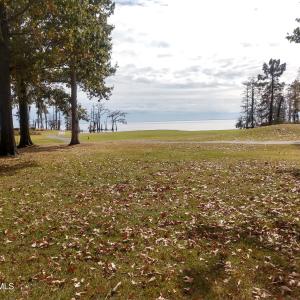 IMG_20231104_131620196_HDR