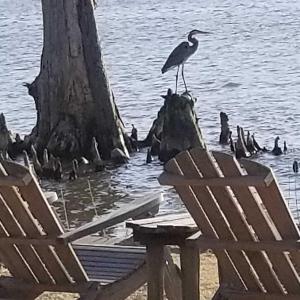 428616947_1171106494228748_3035239528999