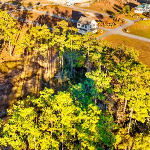 3-web-or-mls-DJI_0067