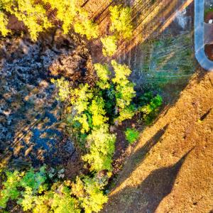 10-web-or-mls-DJI_0073