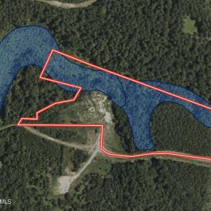 wetlands overlay