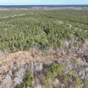 DJI_0154