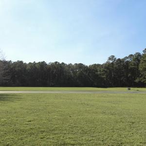 View looking toward road