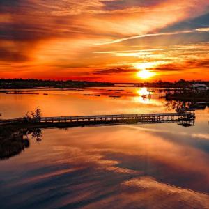 077_social_media2_485