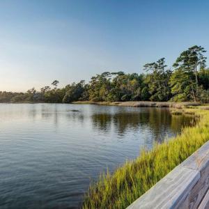 067_p4144937_38_39_40_41_42_43_768