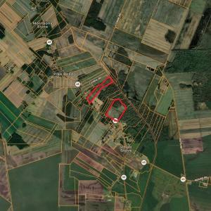 Screenshot 2026-02-03 at 9.51.54AM