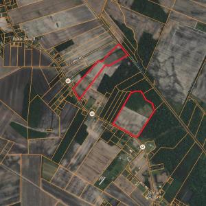 Screenshot 2026-02-03 at 9.51.32AM