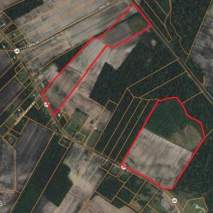 Screenshot 2026-02-03 at 9.51.10AM