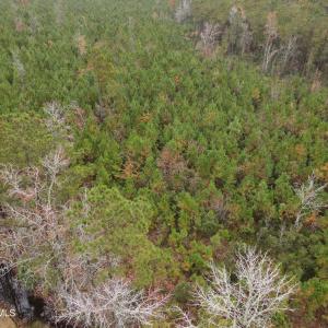 28 Acre 9