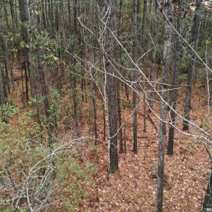 10 Acre 6