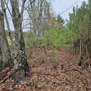28 Acre 8