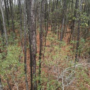 10 Acre 7